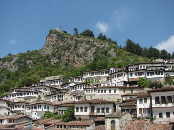 DSC01919